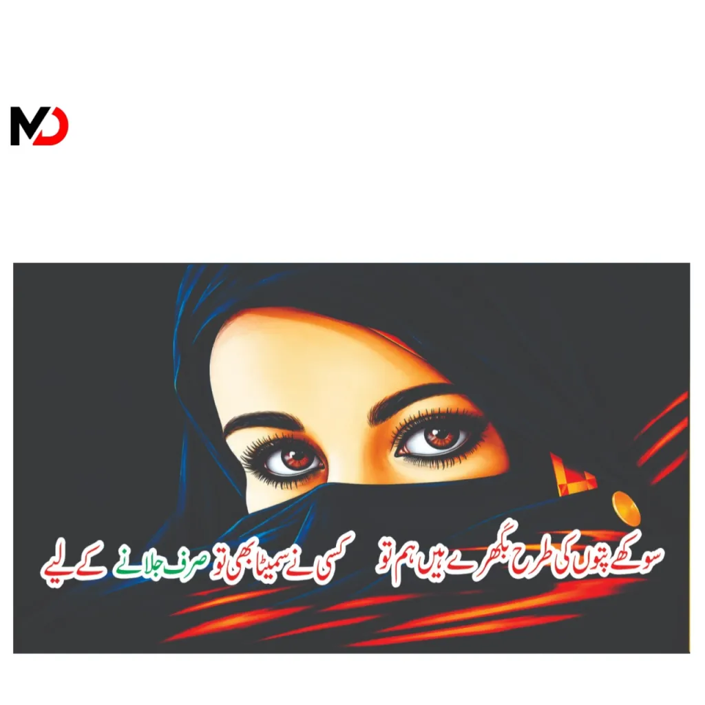 Niqaab Paper Bolan Back Screen (Customized)